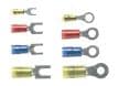 PN Ring/Locking Fork Terminals
